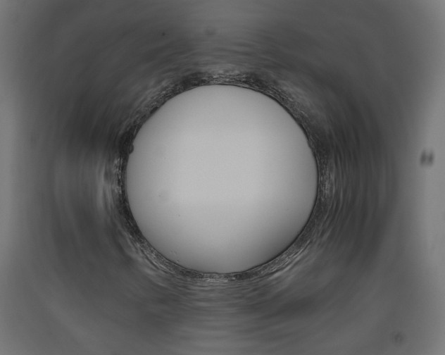 X0000093531346200710121141