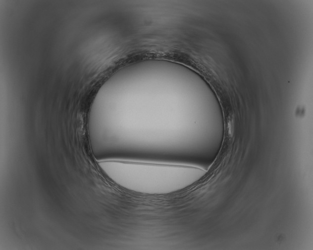 X0000093531347200710121140