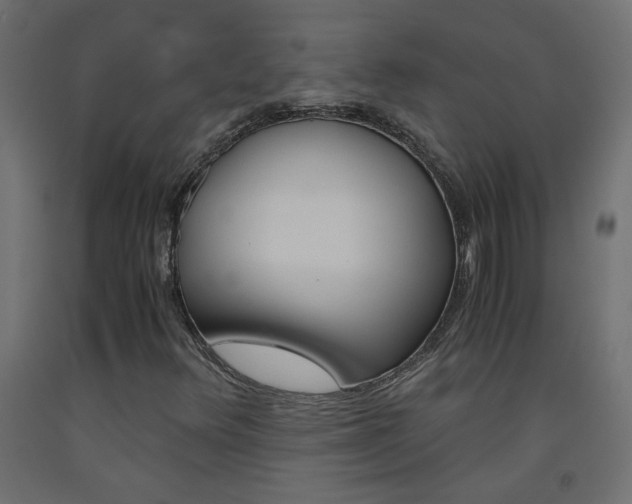 X0000093531348200710121140