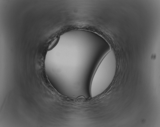 X0000093531349200710121140
