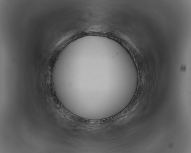 X0000093531350200710121140