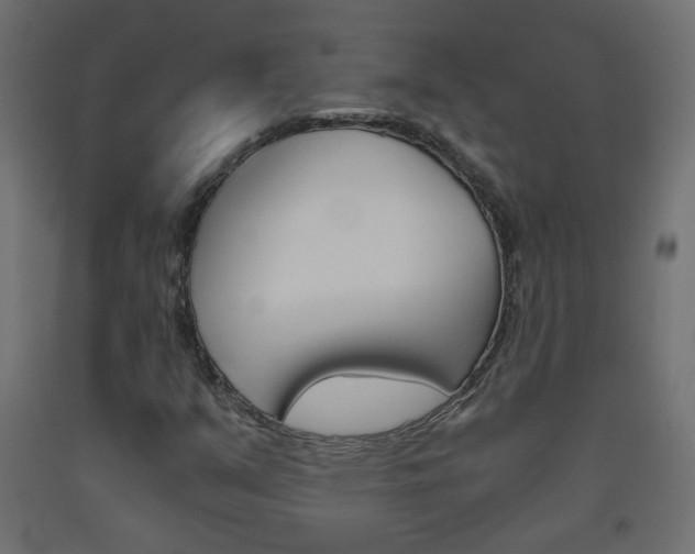 X0000093531351200710121140
