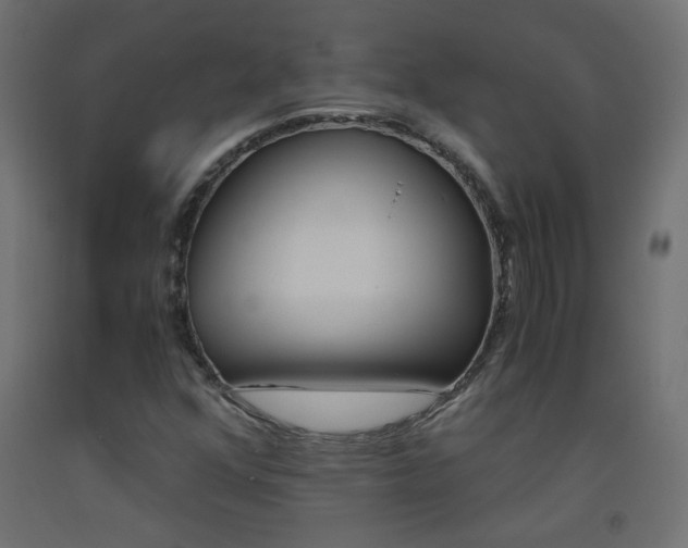 X0000093531352200710121140