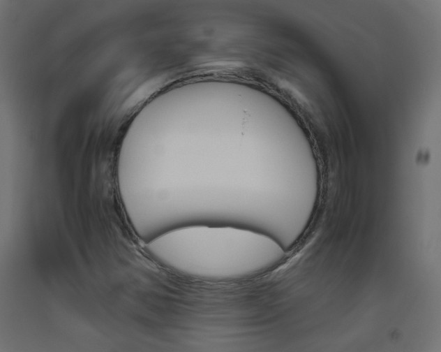 X0000093531354200710121140