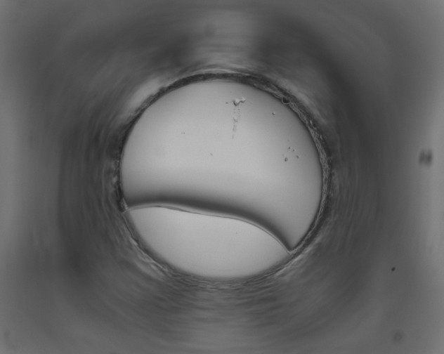 X0000093531355200710121140