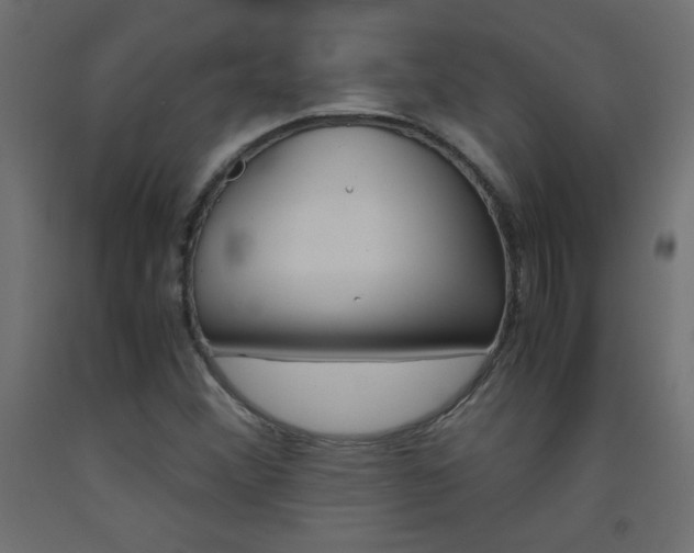 X0000093531356200710121140