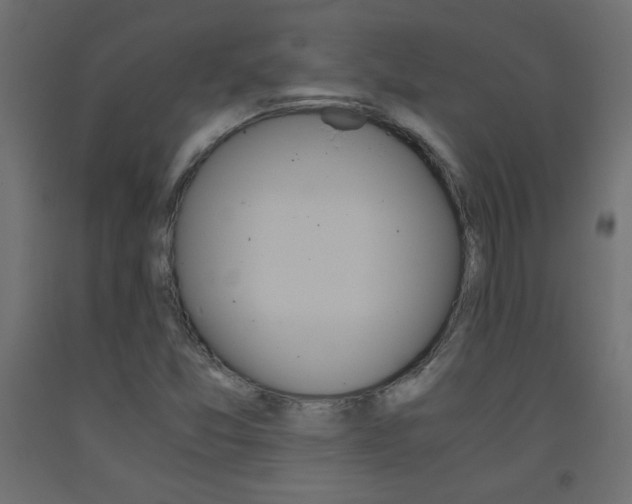 X0000093531357200710121140