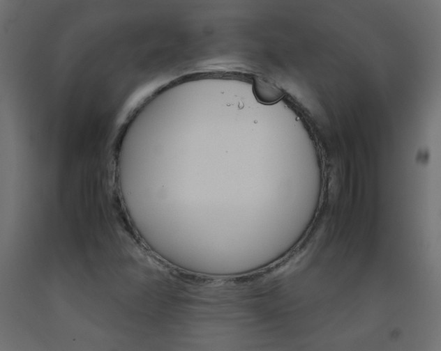X0000093531358200710121140