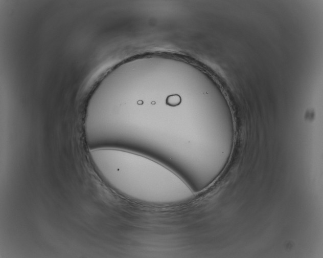 X0000093531359200710121140