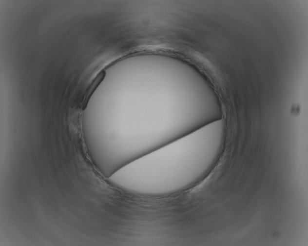 X0000093531361200710121140