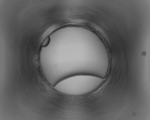 X0000093531362200710121140