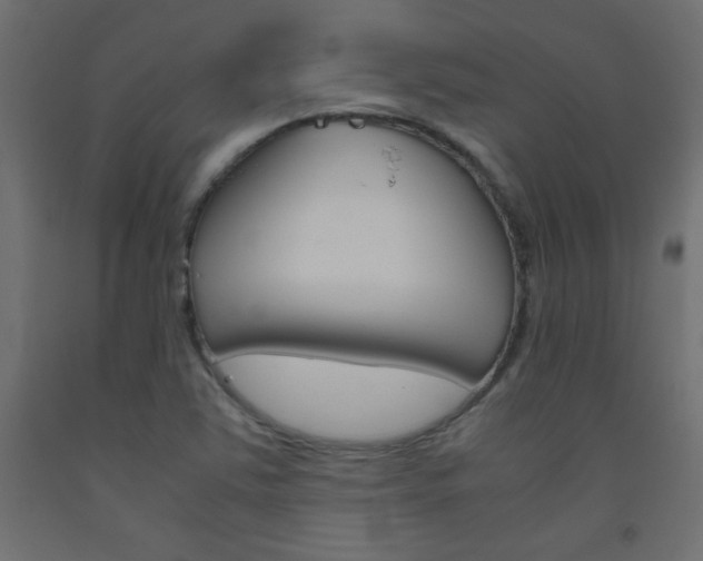 X0000093531363200710121140