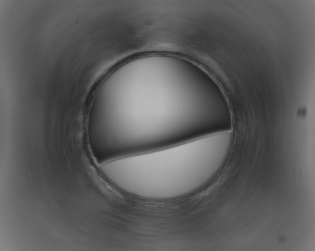 X0000093531364200710121140