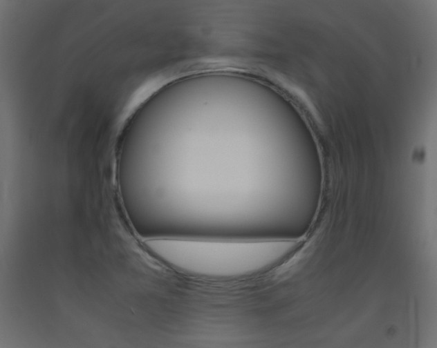 X0000093531365200710121140