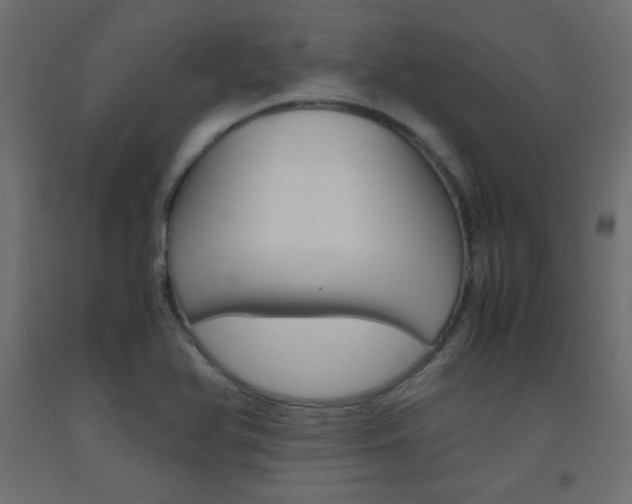 X0000093531366200710121140