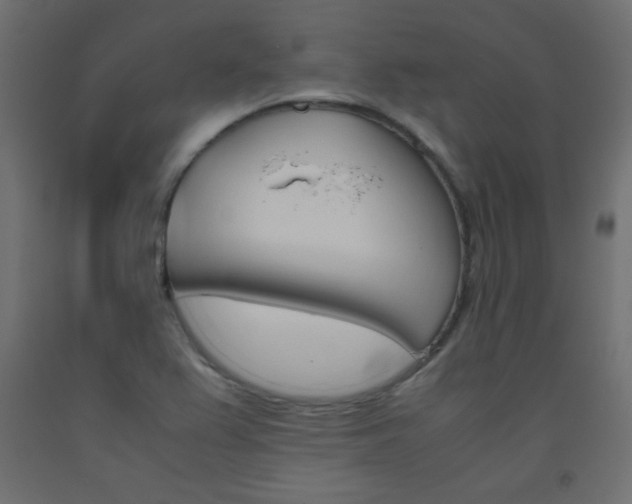 X0000093531367200710121140