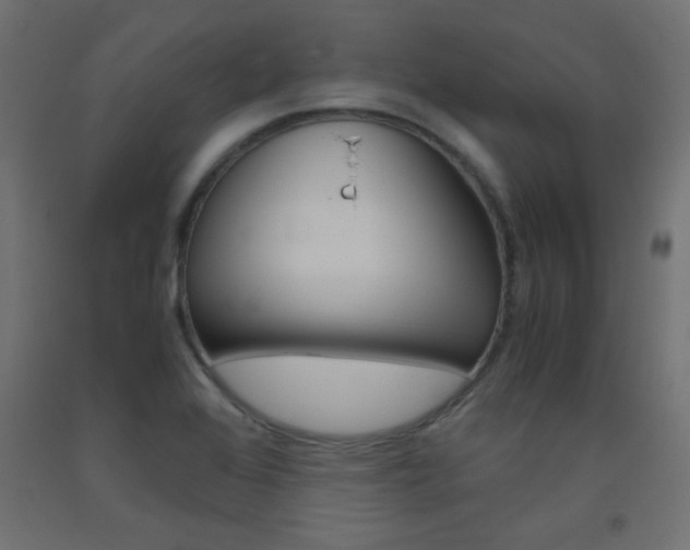 X0000093531368200710121140