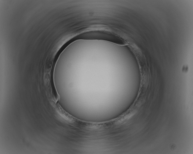 X0000093531369200710121140
