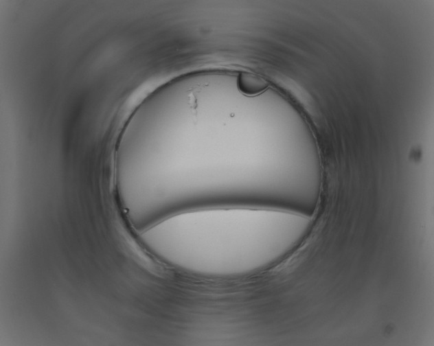 X0000093531371200710121140