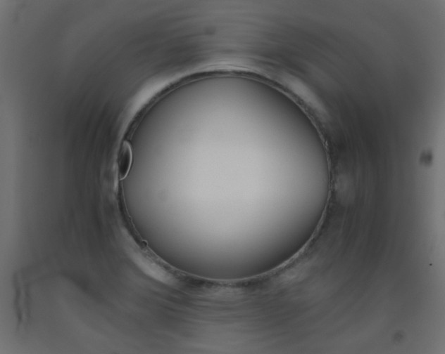 X0000093531372200710121140
