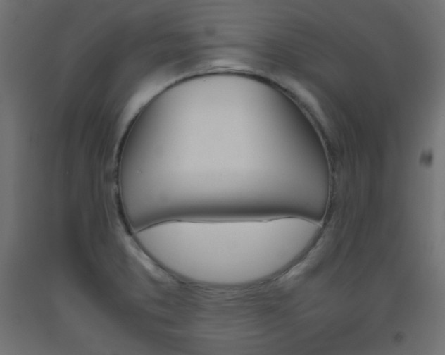 X0000093531373200710121140