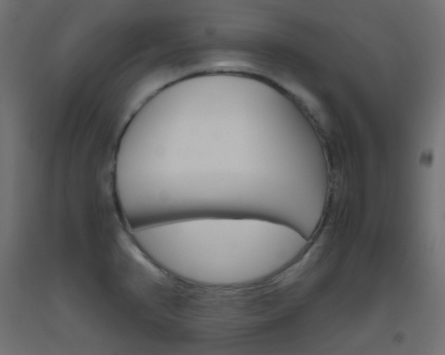 X0000093531374200710121140