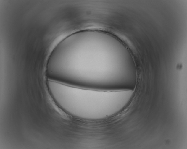 X0000093531375200710121140