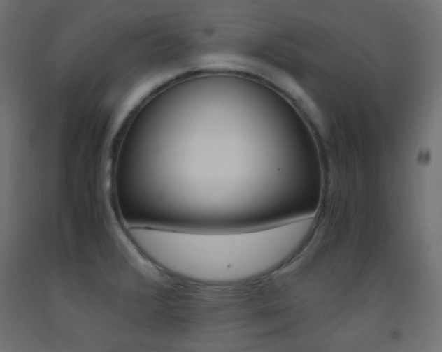 X0000093531376200710121140