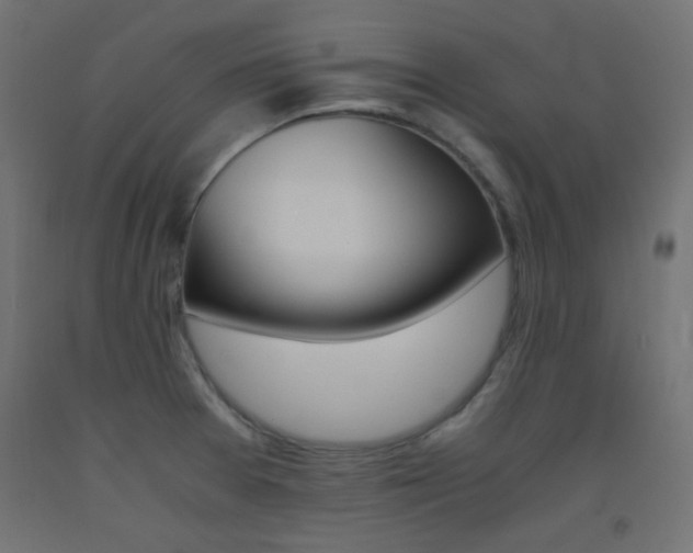 X0000093531377200710121140