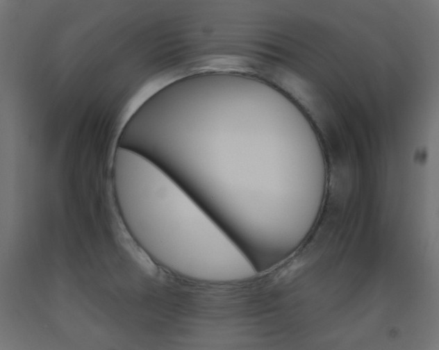 X0000093531378200710121140