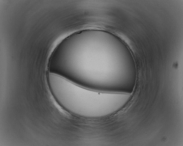 X0000093531379200710121140