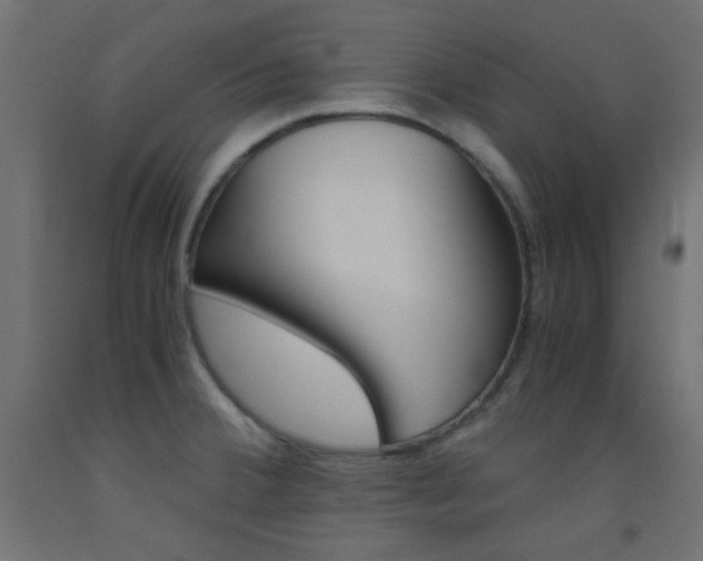 X0000093531380200710121140