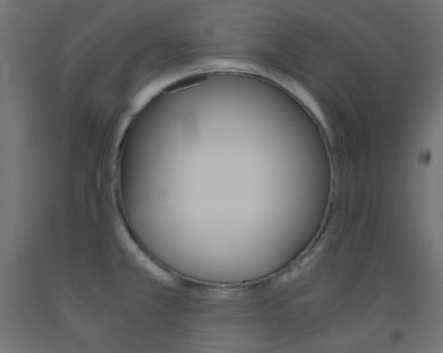 X0000093531381200710121140