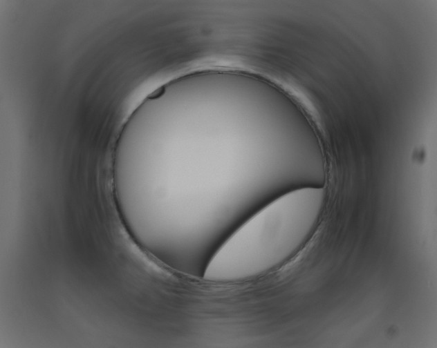 X0000093531382200710121140