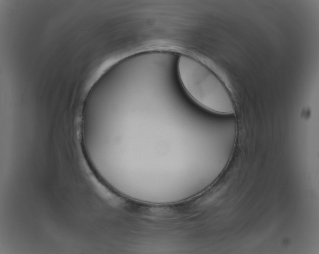 X0000093531383200710121140
