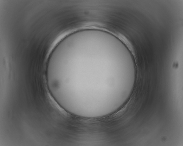 X0000093531384200710121140