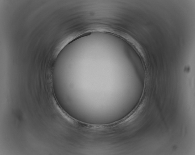 X0000093531385200710121140