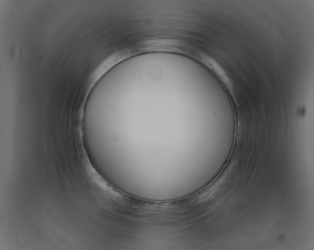 X0000093531386200710121140