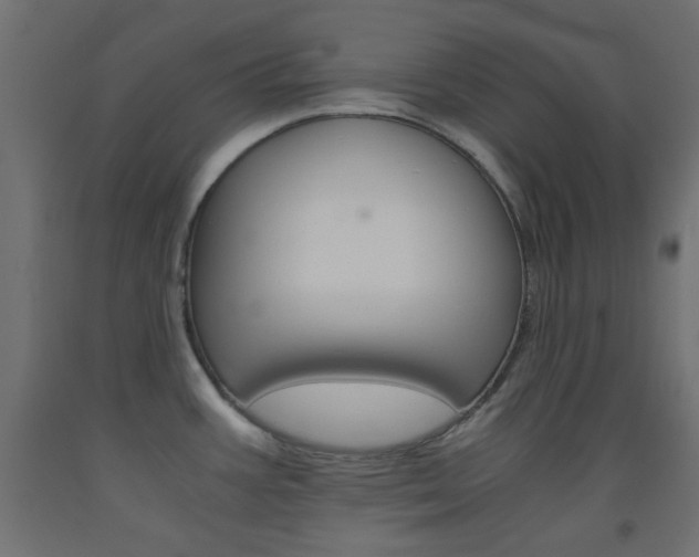 X0000093531387200710121140