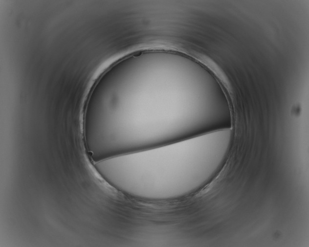 X0000093531388200710121140