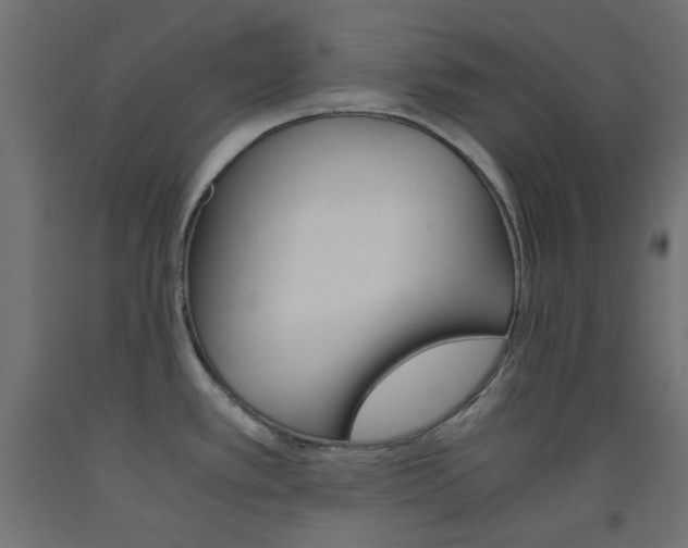X0000093531389200710121140