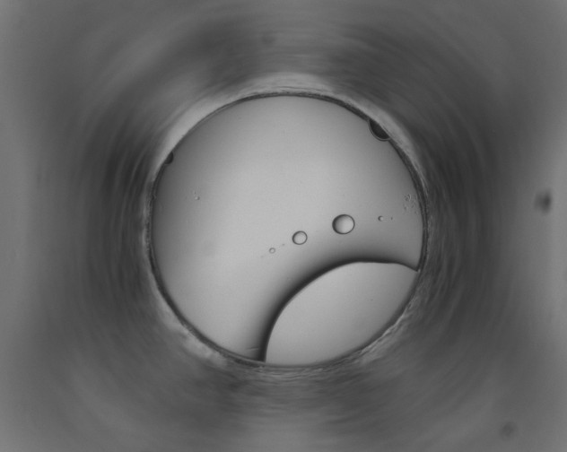 X0000093531390200710121140