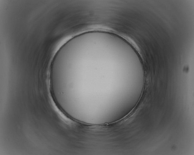 X0000093531391200710121140