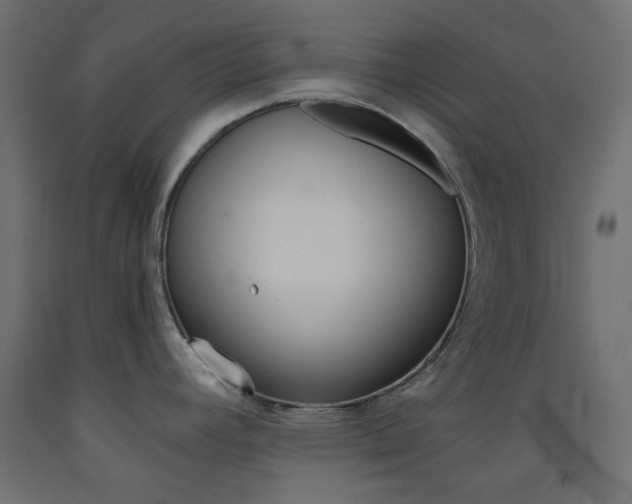 X0000093531392200710121140
