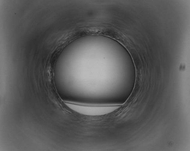 X0000093531394200710121139