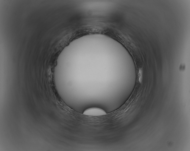 X0000093531395200710121139
