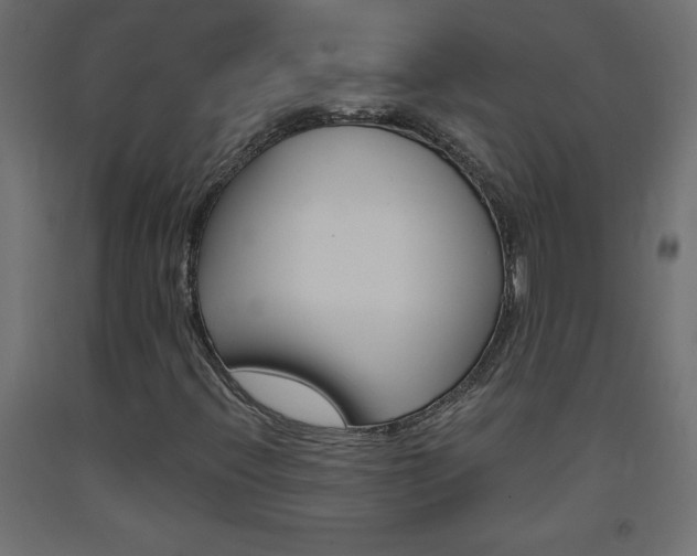 X0000093531396200710121139