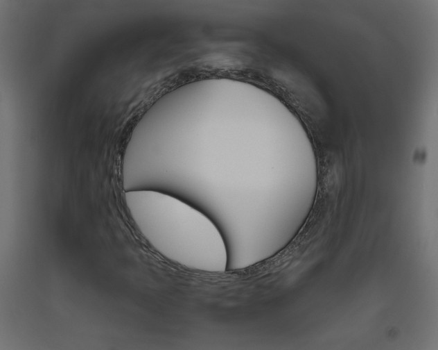 X0000093531397200710121139