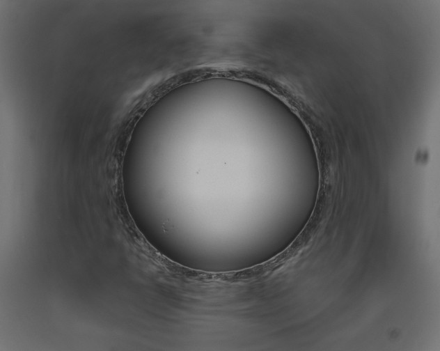 X0000093531398200710121139
