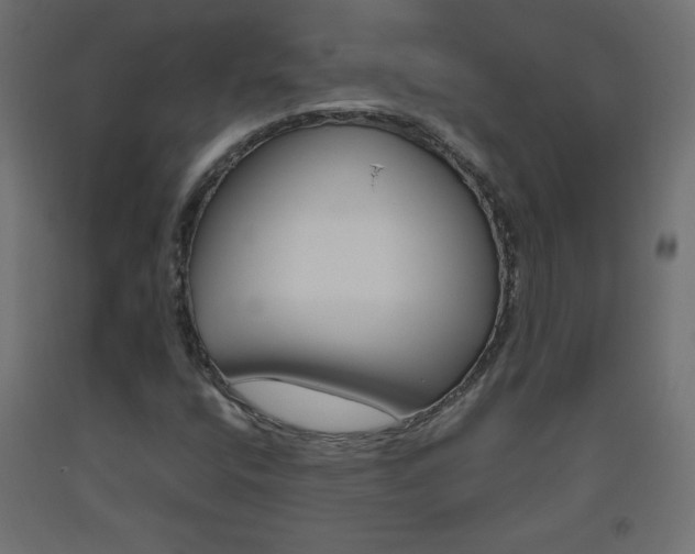 X0000093531400200710121139